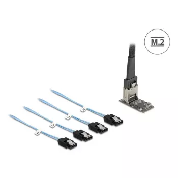 DELOCK vidinė M.2 į Mini-SAS adapterio kortelė 64260, M.2 priegloba, Mini-SAS išvestis, JMicron JMB585, juoda, LED