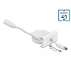 Ištraukiamas maitinimo laidas DeLOCK Easy 45 modulis 81377