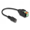DeLOCK DC 2.1 x 5.5 mm lizdo į 2 kontaktų gnybtų bloko adapteris 15 cm