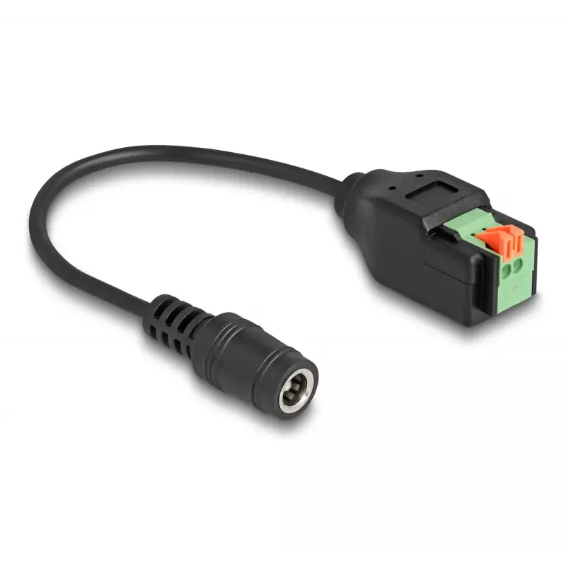 DeLOCK DC 2.1 x 5.5 mm lizdo į 2 kontaktų gnybtų bloko adapteris 15 cm