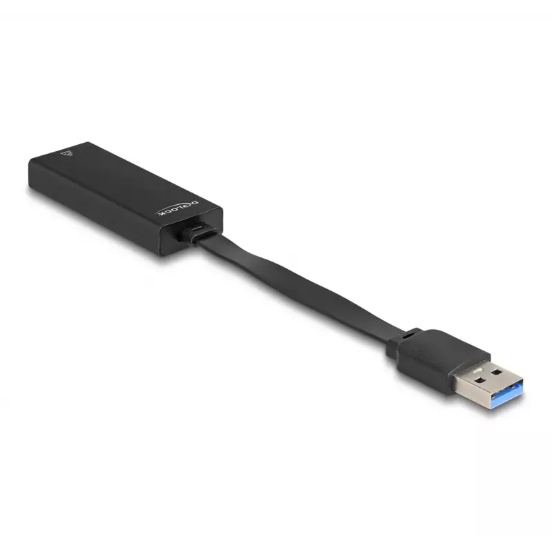 DeLOCK 66245 kabelio lyčių keitiklis USB Type-A RJ-45 juodas 0,09 m