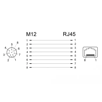 jungčių adapteris DeLOCK 66314 M12 RJ45 juodas