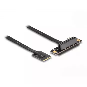 DeLOCK M.2 Key A+E į PCIe x4 NVMe adapteris kampinis su 20 cm kabeliu