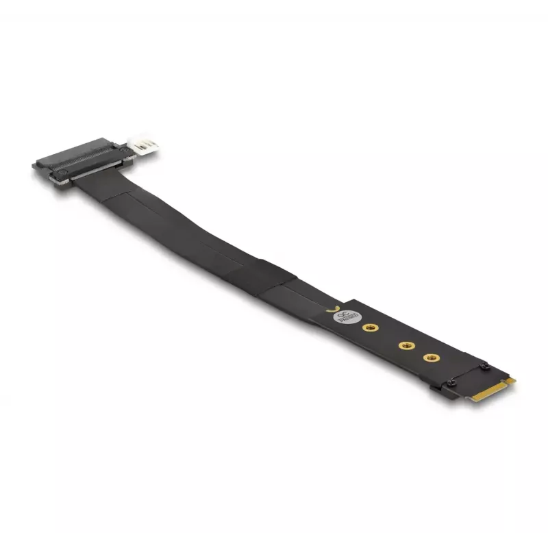 DeLOCK M.2 Key M į U.2 SFF-8639 NVMe adapteris su 20 cm laidu
