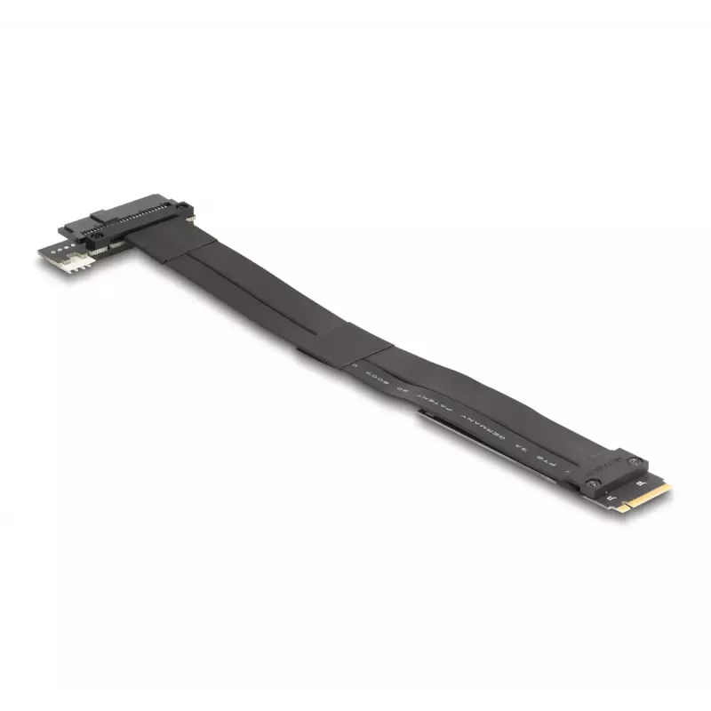 DeLOCK M.2 Key M į U.2 SFF-8639 NVMe adapteris su 20 cm laidu