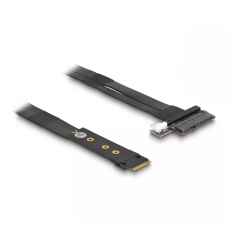 DeLOCK M.2 Key M į U.2 SFF-8639 NVMe adapteris su 20 cm laidu