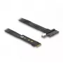 DeLOCK M.2 Key M į U.2 SFF-8639 NVMe adapteris su 20 cm laidu