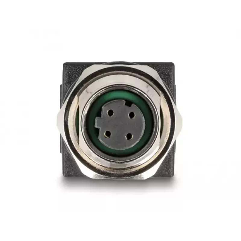 DeLOCK M12 adapteris D koduotas 4 kontaktų lizdas RJ45 lizdui tiesus