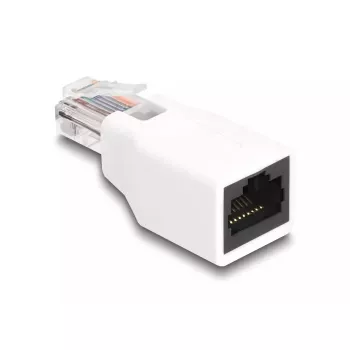 DeLOCK 88002 jungčių adapteris RJ50, baltas