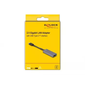 DeLOCK 66248 kabelio lyties keitiklis RJ-45 USB C Pilka 0,09m