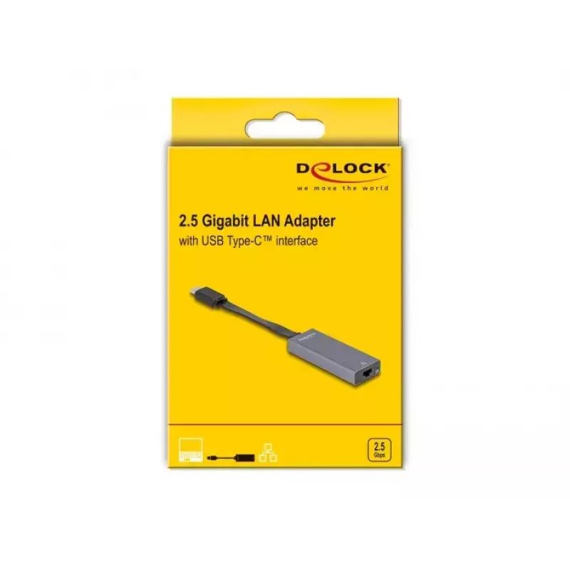 DeLOCK 66248 kabelio lyties keitiklis RJ-45 USB C Pilka 0,09m