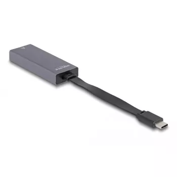 DeLOCK 66248 kabelio lyties keitiklis RJ-45 USB C Pilka 0,09m