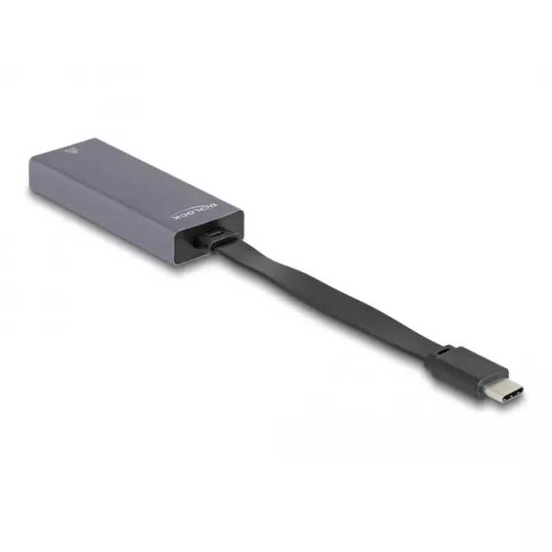 DeLOCK 66248 kabelio lyties keitiklis RJ-45 USB C Pilka 0,09m