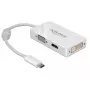 Vaizdo skirstytuvas DeLOCK 63924 USB Type-C 3840x2160 60Hz Baltas