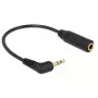 Garso laidas DeLOCK 0,175 m 2,5 mm / 3,5 mm