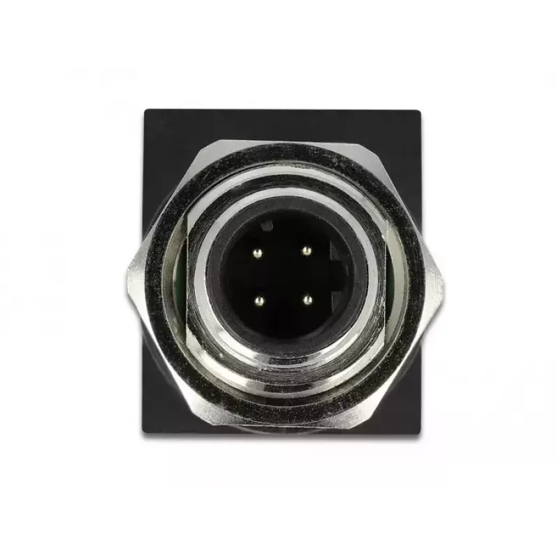 Kabelio lyties adapteris DeLOCK 66313