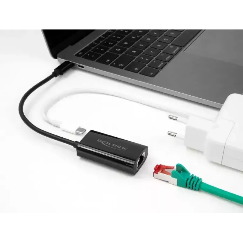 DeLOCK 61026 kabelio lyties keitiklis USB C RJ45 Juoda