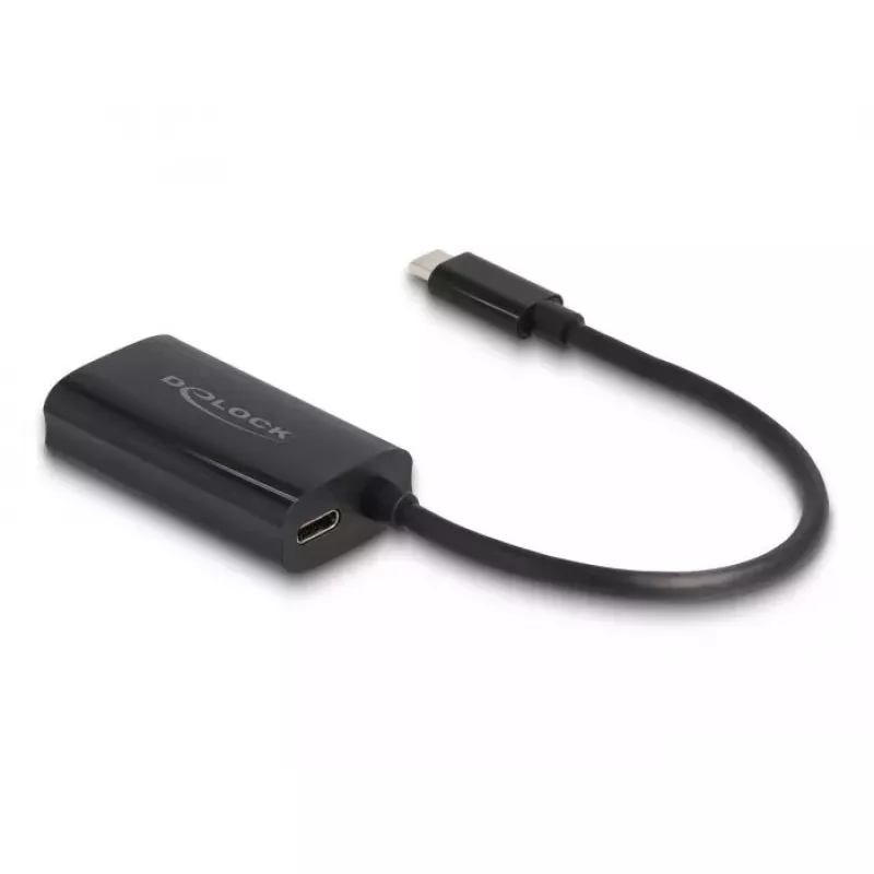 DeLOCK 61026 kabelio lyties keitiklis USB C RJ45 Juoda