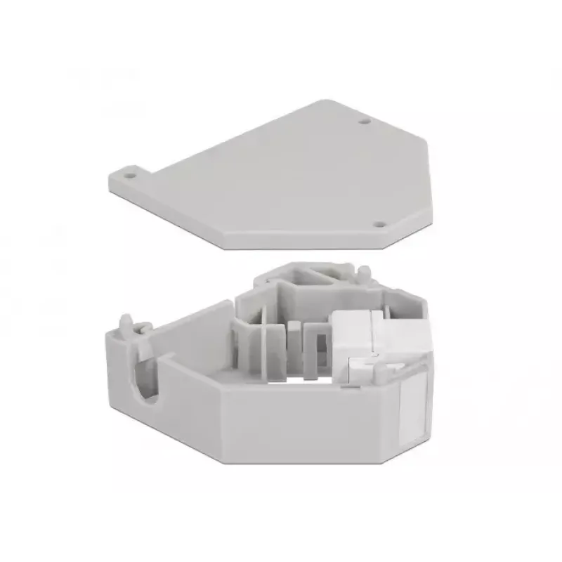 Keystone modulis DELOCK 87163 — USB A į USB A, pilkas/baltas, 60,1×59,4×21,6 mm