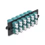 DeLOCK Šviesolaidinio adapterio skydelis LC Duplex OM4 12 prievadų Aqua