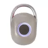 Techly ICASBL321GR nešiojama / vakarėlių kolonėlė Monofoninė nešiojama kolonėlė Pilka 5 W