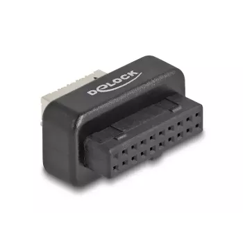 DeLOCK USB adapterio kontaktų šakutė (moteriška) į Type-E Key A (moteriška) 5 Gbps