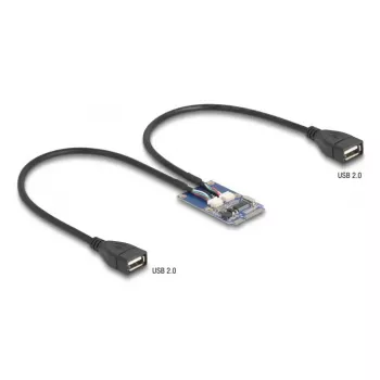 DeLOCK 64346 Vidinis USB 2.0 adapteris Mini PCI Express Kištukas