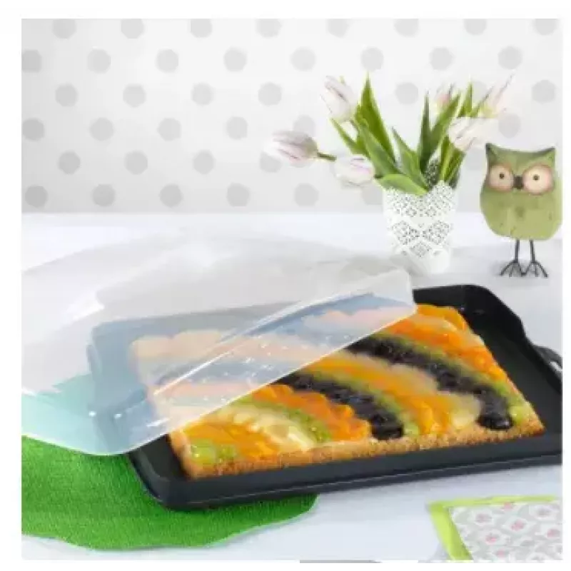 Hama 00111497 maisto serviravimo padėklas Stačiakampis Juoda, Skaidri