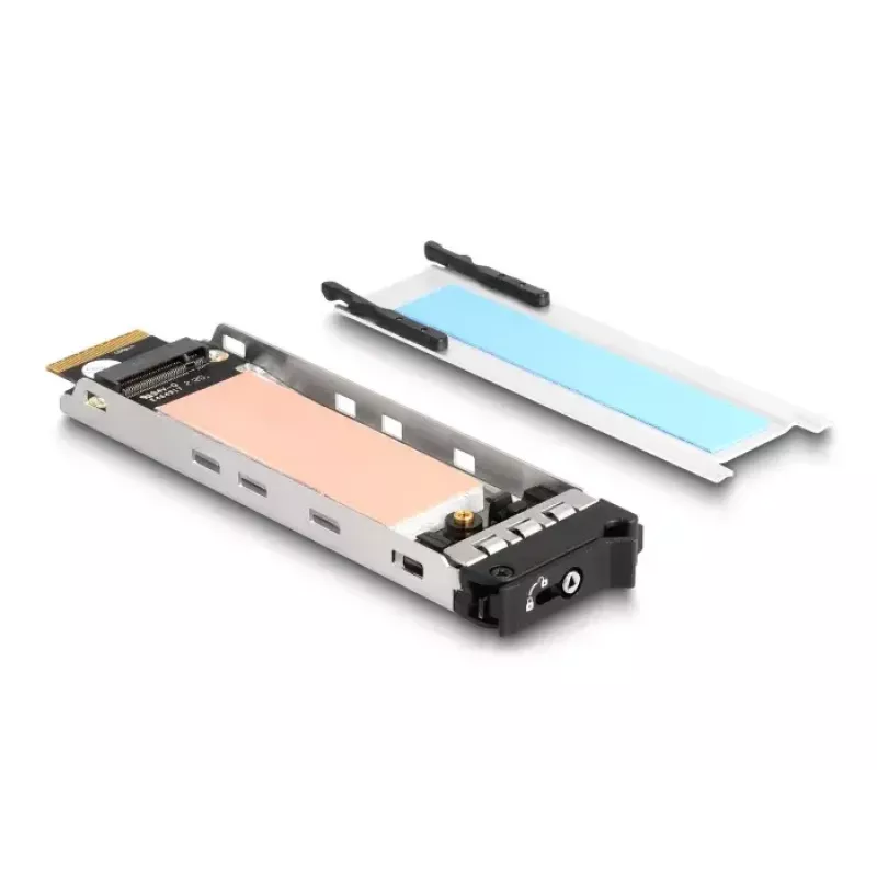 DeLOCK mobilus dėklas PCI Express kortelė 1 x M.2 NVMe SSD žemo profilio
