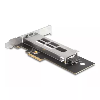 DeLOCK mobilus dėklas PCI Express kortelė 1 x M.2 NVMe SSD žemo profilio