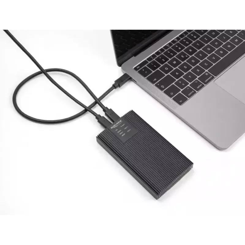 SSD dėklas DeLOCK 42022 išorinis dėklas USB 20 Gbps 2 x M.2 NVMe PCIe SSD