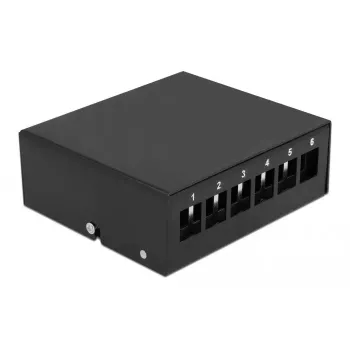 Patch Panel DeLOCK Keystone 6 prievadų juoda