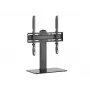 Equip 32–55 colių universalūs TV stovai, juodi, 40 kg talpa 32–55 colių ekranams