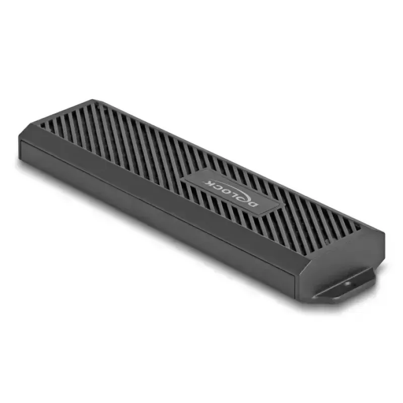 SSD korpusas DeLOCK 42031 juodas M.2 PCIe SATA 20 Gbit/s