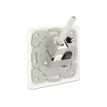 Kištukinis lizdas RJ-45 DeLOCK 86219