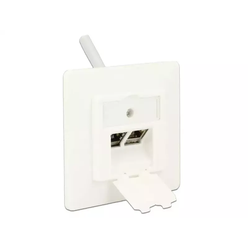 Kištukinis lizdas RJ-45 DeLOCK 86219