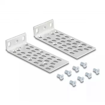 Montavimo rinkinys DeLOCK 66236 universalus stovo tvirtinimo rinkinys 2 vnt. sidabrinis metalinis
