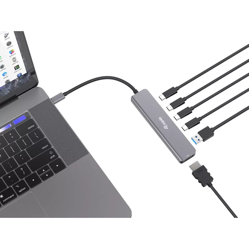 Equip USB-C 6 viename daugiafunkcis adapteris, HDMI 4K/30Hz, USB-C x 4, USB-A x 1, 5Gbps, 100W USB PD