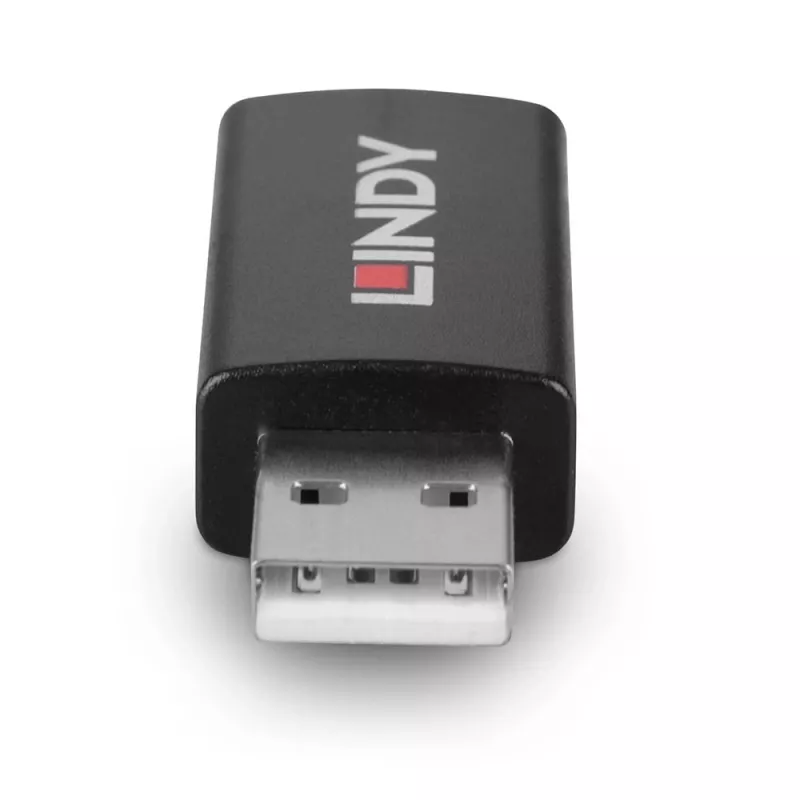 Lindy 71263 USB Type A lyčių keitiklis, juodas