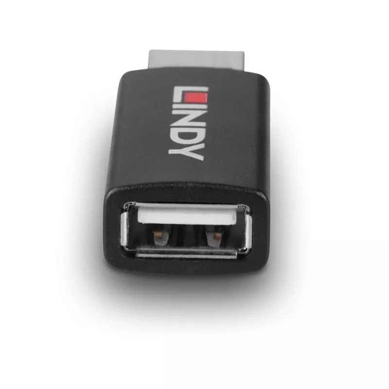 Lindy 71263 USB Type A lyčių keitiklis, juodas