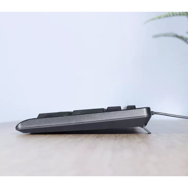 Trust TKM-250 klaviatūra Pelė komplekte Biuro USB QWERTZ Vokiška Juoda