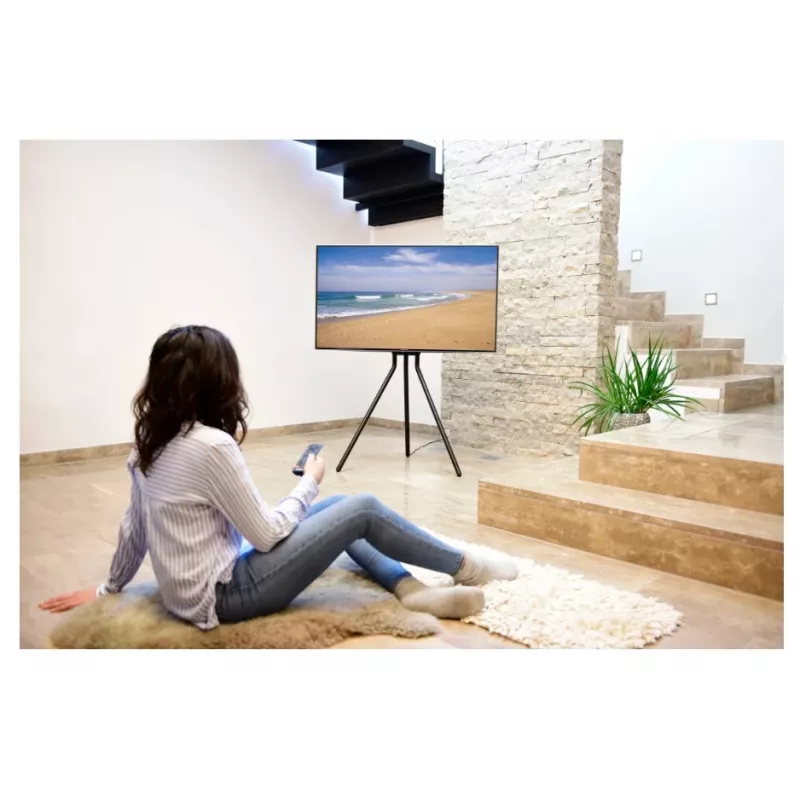Hama 00220870 TV laikiklis/stovas 190.5 cm (75 colių) Juoda