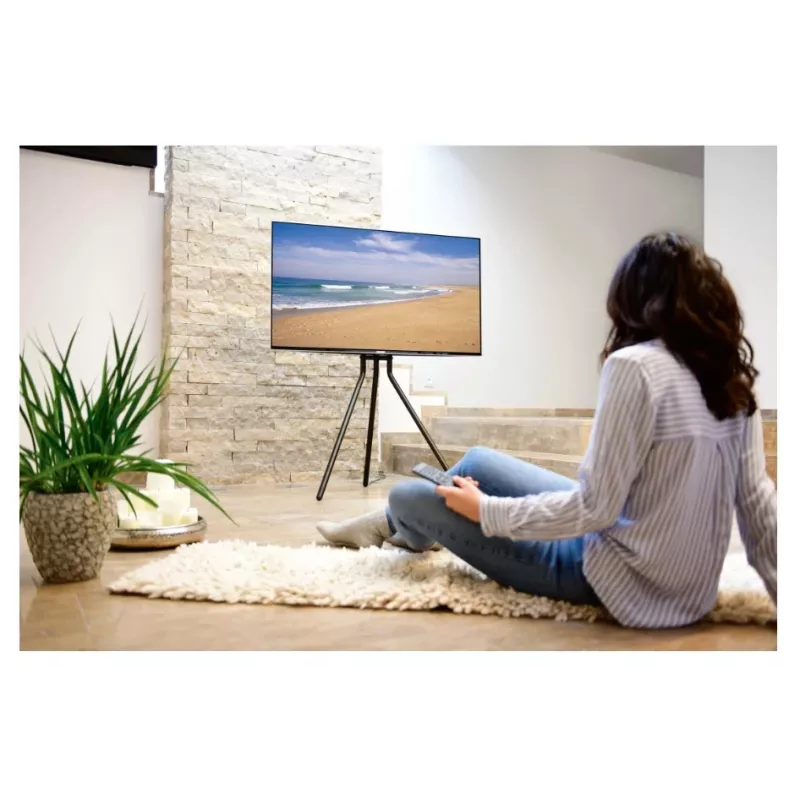 Hama 00220870 TV laikiklis/stovas 190.5 cm (75 colių) Juoda