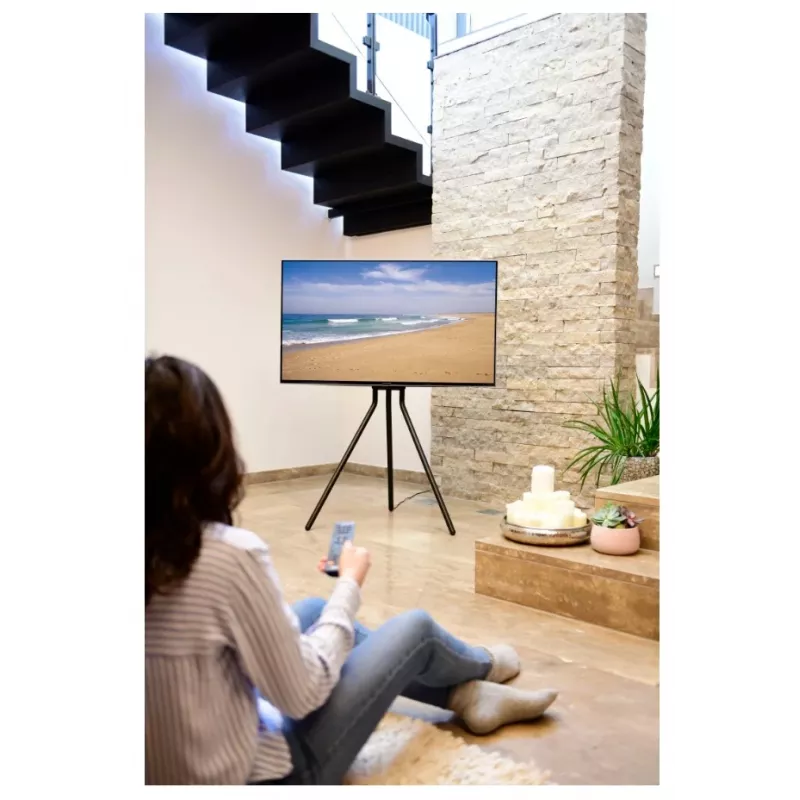 Hama 00220870 TV laikiklis/stovas 190.5 cm (75 colių) Juoda