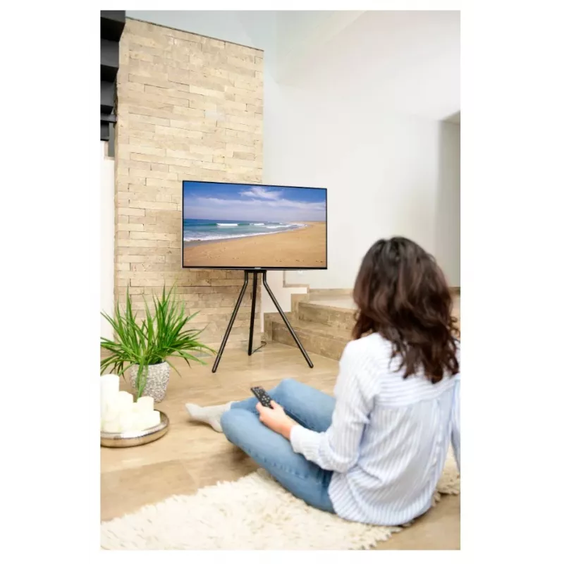 Hama 00220870 TV laikiklis/stovas 190.5 cm (75 colių) Juoda