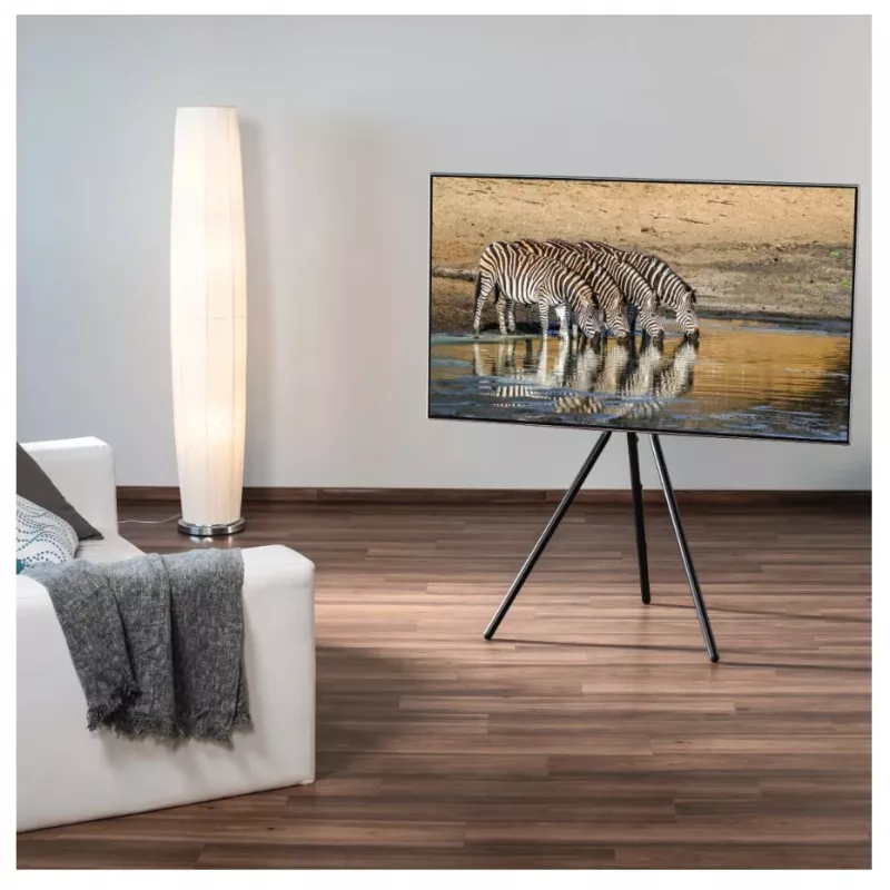 Hama 00220870 TV laikiklis/stovas 190.5 cm (75 colių) Juoda