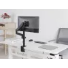Equip 13 colių–32 colių monitoriaus stalinis laikiklis