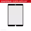 Popierių primenanti ekrano apsauginė plėvelė Displex TABLET PAPERSENSE, skirta iPad 7/8/9 kartos ir iPad Air 3, matinė, 10,5 colio (26,7 cm), 3H, nuimama