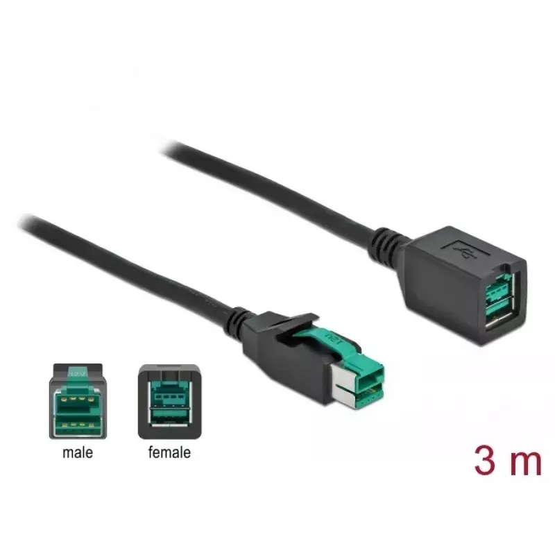 Maitinamas USB ilginamasis kabelis DeLOCK 85982 12V 3m