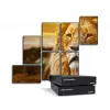 Matrox QuadHead2Go Q155 kelių monitorių valdiklio prietaisas / Q2G-H4K2
